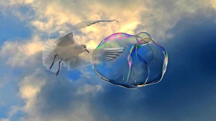 Copy Of Ins Inv Image (2)