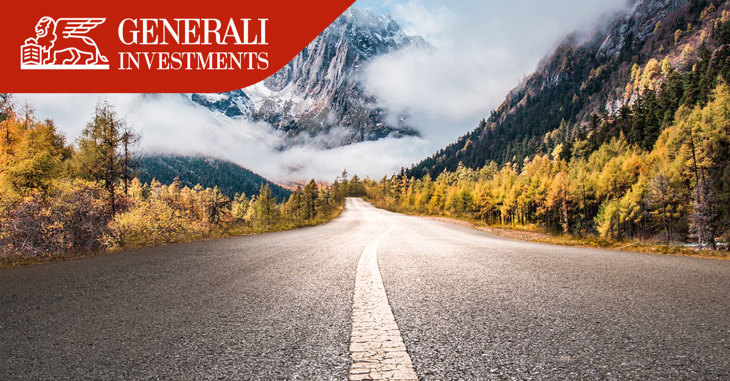 Insurance Investors Article