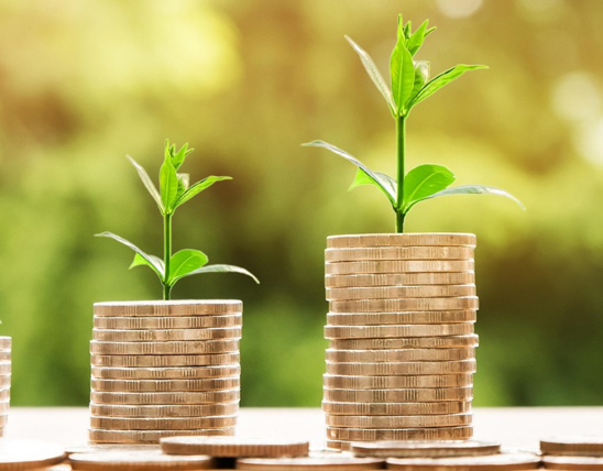 Copy Of Ins Inv Image (10)