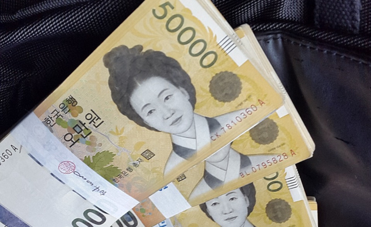 Korean Won Image