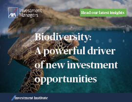Homepage MPU top banner  SPONSOR ADVERTS