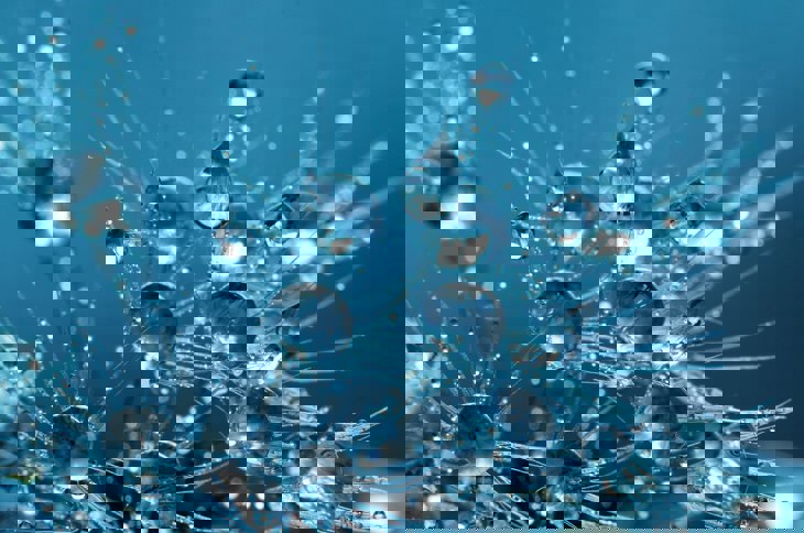 Bubbles 2