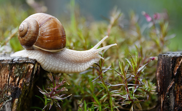 Copy Of New II Orange #EC652F 1200 (3)